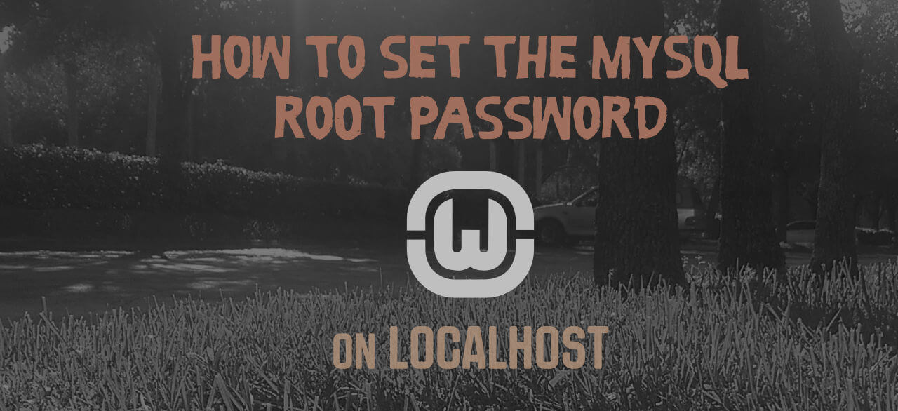 How to set the MySQL root password in localhost using WAMP